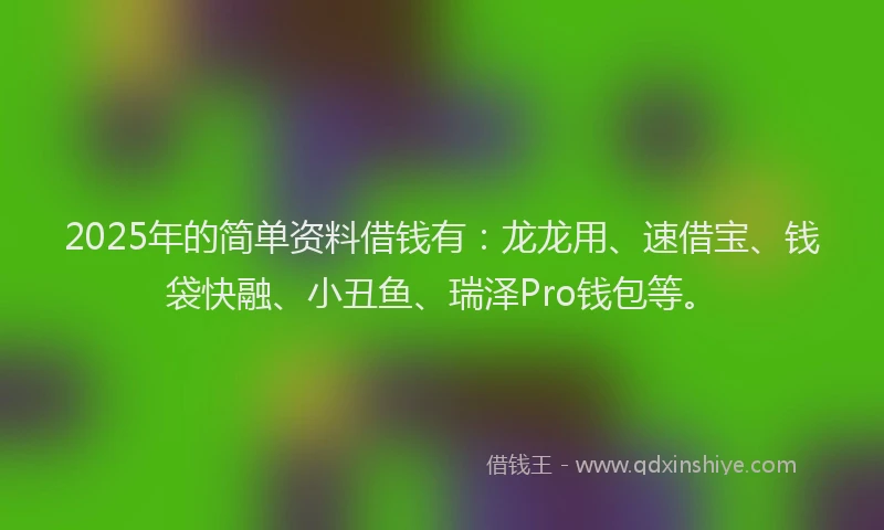 2025年的简单资料借钱有：龙龙用、速借宝、钱袋快融、小丑鱼、瑞泽Pro钱包等。