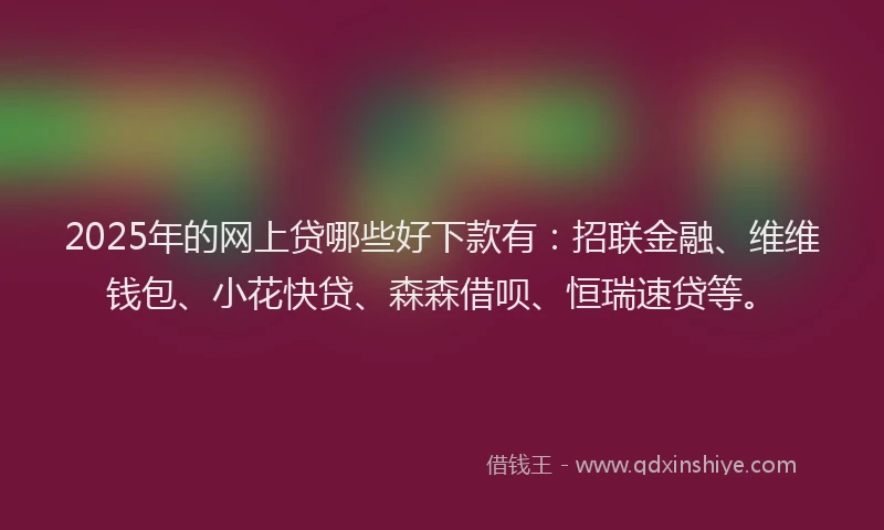 2025年的网上贷哪些好下款有：招联金融、维维钱包、小花快贷、森森借呗、恒瑞速贷等。