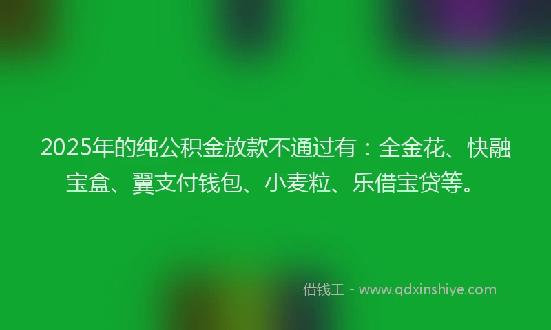 2025年的纯公积金放款不通过有：全金花、快融宝盒、翼支付钱包、小麦粒、乐借宝贷等。