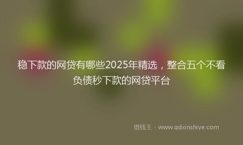 稳下款的网贷有哪些2025年精选，整合五个不看负债秒下款的网贷平台