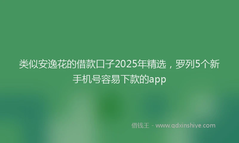 类似安逸花的借款口子2025年精选，罗列5个新手机号容易下款的app