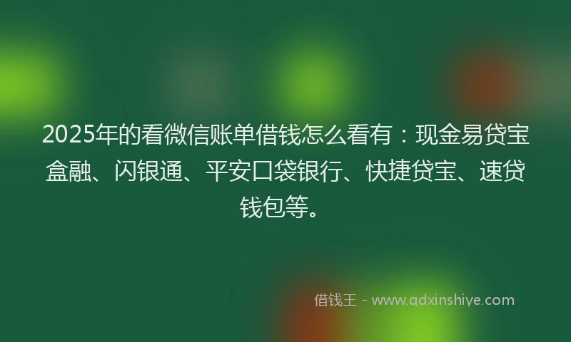 2025年的看微信账单借钱怎么看有：现金易贷宝盒融、闪银通、平安口袋银行、快捷贷宝、速贷钱包等。