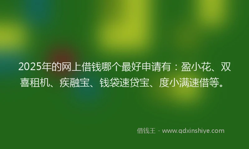2025年的网上借钱哪个最好申请有：盈小花、双喜租机、疾融宝、钱袋速贷宝、度小满速借等。