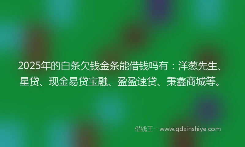 2025年的白条欠钱金条能借钱吗有：洋葱先生、星贷、现金易贷宝融、盈盈速贷、秉鑫商城等。