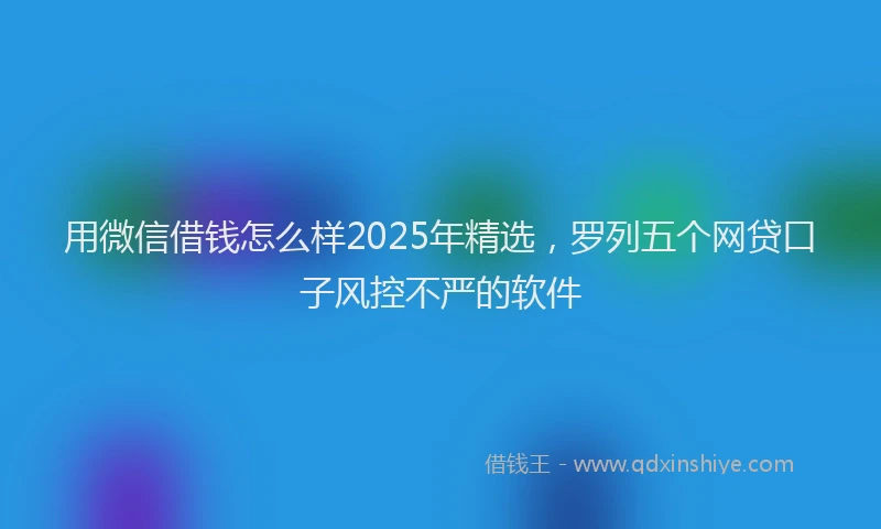 用微信借钱怎么样2025年精选，罗列五个网贷口子风控不严的软件