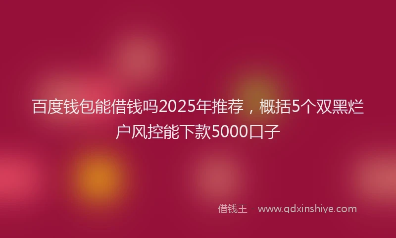 百度钱包能借钱吗2025年推荐，概括5个双黑烂户风控能下款5000口子