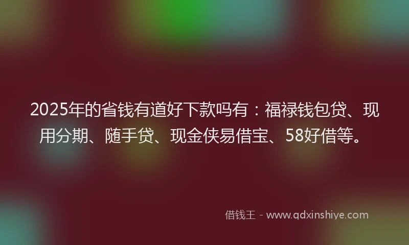 2025年的省钱有道好下款吗有：福禄钱包贷、现用分期、随手贷、现金侠易借宝、58好借等。