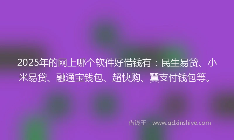 2025年的网上哪个软件好借钱有：民生易贷、小米易贷、融通宝钱包、超快购、翼支付钱包等。