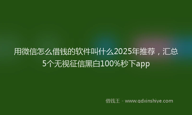 用微信怎么借钱的软件叫什么2025年推荐，汇总5个无视征信黑白100%秒下app