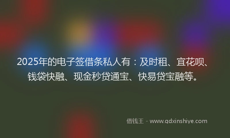 2025年的电子签借条私人有：及时租、宜花呗、钱袋快融、现金秒贷通宝、快易贷宝融等。