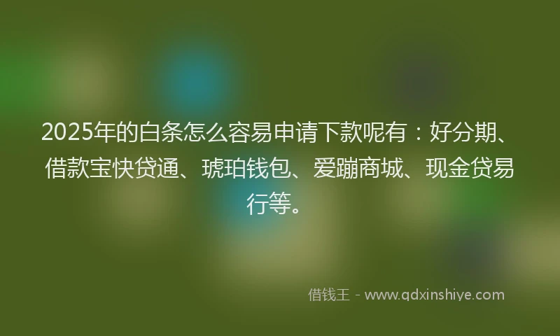 2025年的白条怎么容易申请下款呢有：好分期、借款宝快贷通、琥珀钱包、爱蹦商城、现金贷易行等。