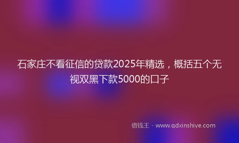 石家庄不看征信的贷款2025年精选，概括五个无视双黑下款5000的口子