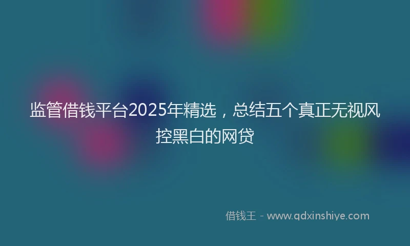 监管借钱平台2025年精选，总结五个真正无视风控黑白的网贷