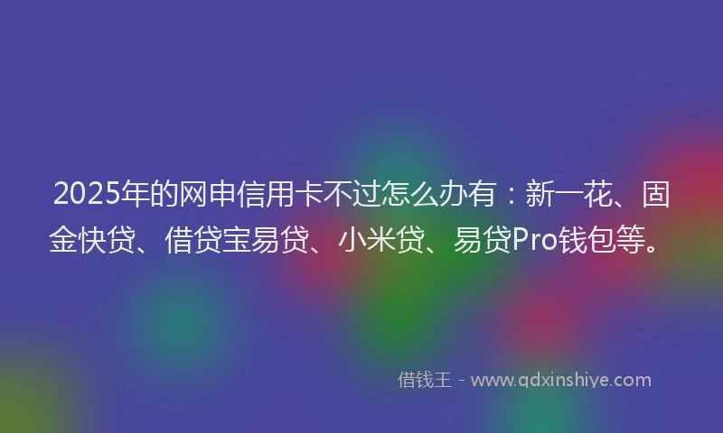 2025年的网申信用卡不过怎么办有：新一花、固金快贷、借贷宝易贷、小米贷、易贷Pro钱包等。
