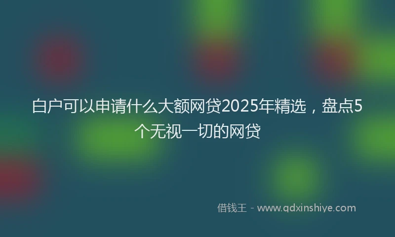 白户可以申请什么大额网贷2025年精选，盘点5个无视一切的网贷