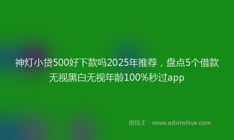 神灯小贷500好下款吗2025年推荐，盘点5个借款无视黑白无视年龄100%秒过app