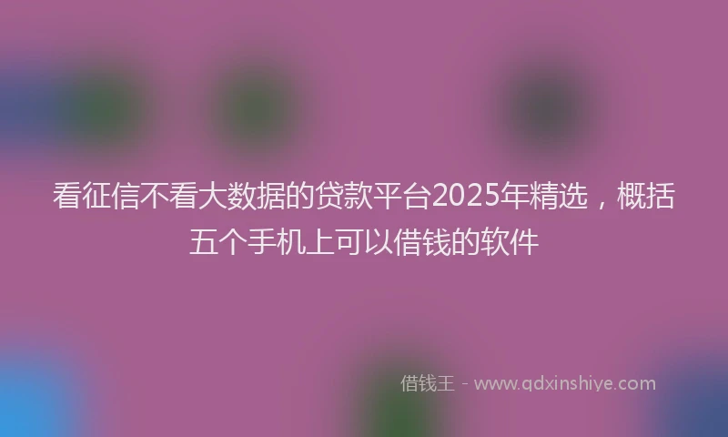 看征信不看大数据的贷款平台2025年精选，概括五个手机上可以借钱的软件