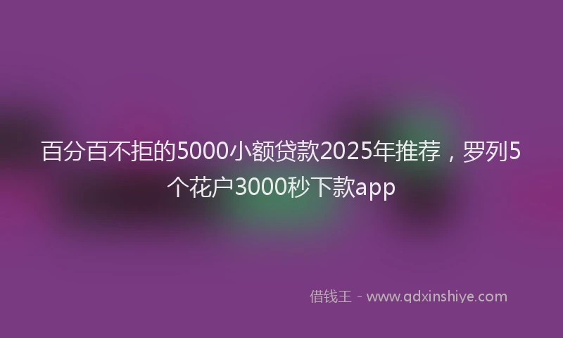 百分百不拒的5000小额贷款2025年推荐，罗列5个花户3000秒下款app
