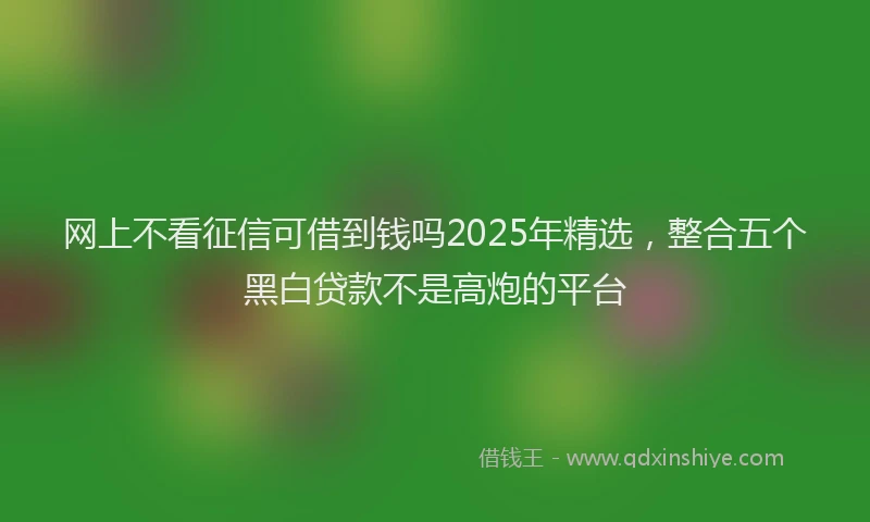 网上不看征信可借到钱吗2025年精选，整合五个黑白贷款不是高炮的平台