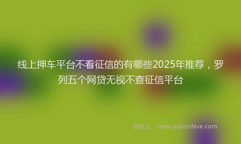 线上押车平台不看征信的有哪些2025年推荐，罗列五个网贷无视不查征信平台