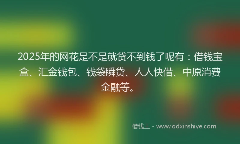 2025年的网花是不是就贷不到钱了呢有：借钱宝盒、汇金钱包、钱袋瞬贷、人人快借、中原消费金融等。