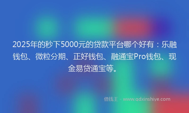 2025年的秒下5000元的贷款平台哪个好有：乐融钱包、微粒分期、正好钱包、融通宝Pro钱包、现金易贷通宝等。
