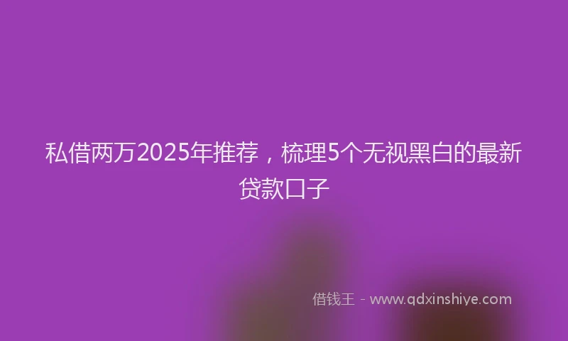 私借两万2025年推荐，梳理5个无视黑白的最新贷款口子