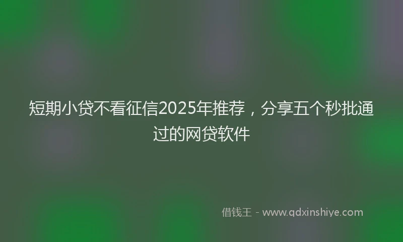 短期小贷不看征信2025年推荐，分享五个秒批通过的网贷软件