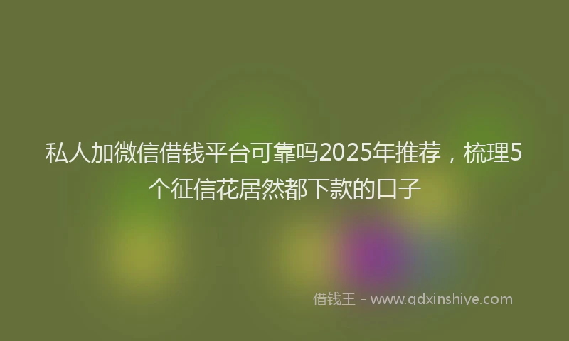 私人加微信借钱平台可靠吗2025年推荐，梳理5个征信花居然都下款的口子