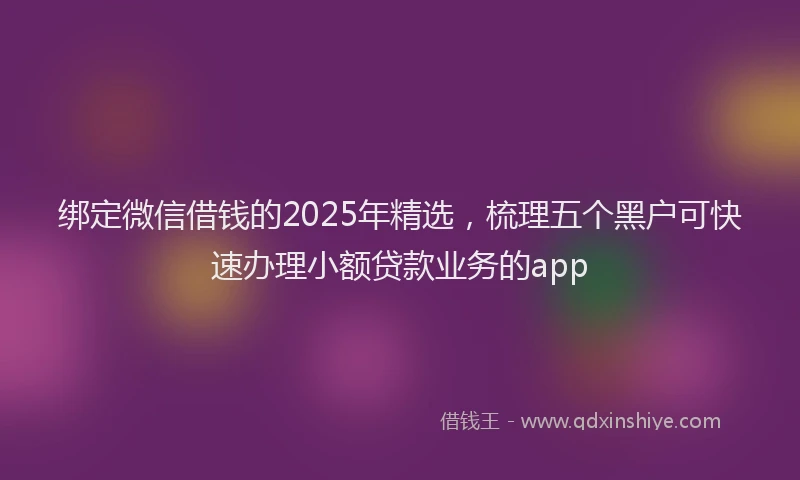 绑定微信借钱的2025年精选，梳理五个黑户可快速办理小额贷款业务的app