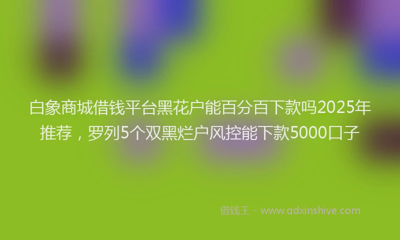 白象商城借钱平台黑花户能百分百下款吗2025年推荐，罗列5个双黑烂户风控能下款5000口子