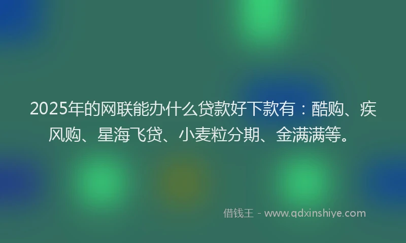 2025年的网联能办什么贷款好下款有：酷购、疾风购、星海飞贷、小麦粒分期、金满满等。