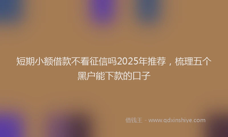 短期小额借款不看征信吗2025年推荐，梳理五个黑户能下款的口子