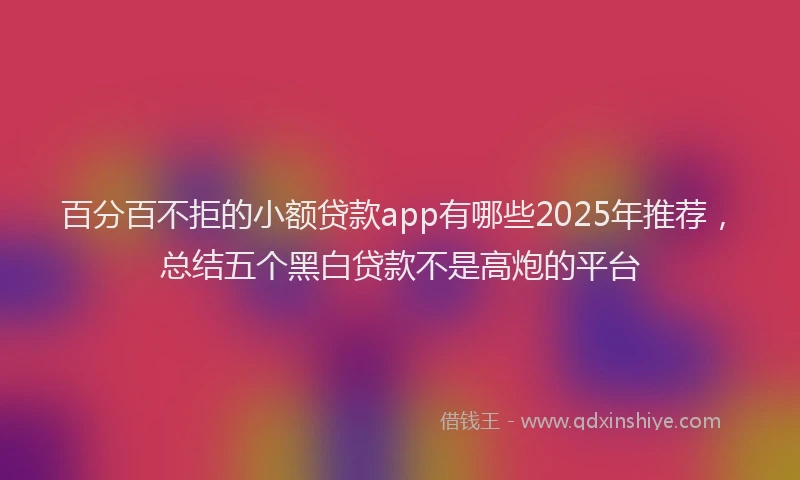 百分百不拒的小额贷款app有哪些2025年推荐，总结五个黑白贷款不是高炮的平台