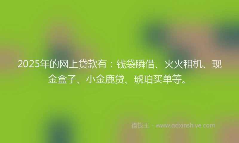 2025年的网上贷款有：钱袋瞬借、火火租机、现金盒子、小金鹿贷、琥珀买单等。