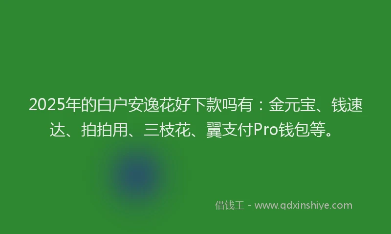 2025年的白户安逸花好下款吗有：金元宝、钱速达、拍拍用、三枝花、翼支付Pro钱包等。