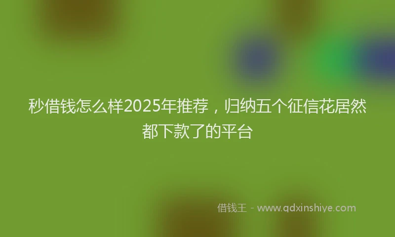 秒借钱怎么样2025年推荐，归纳五个征信花居然都下款了的平台