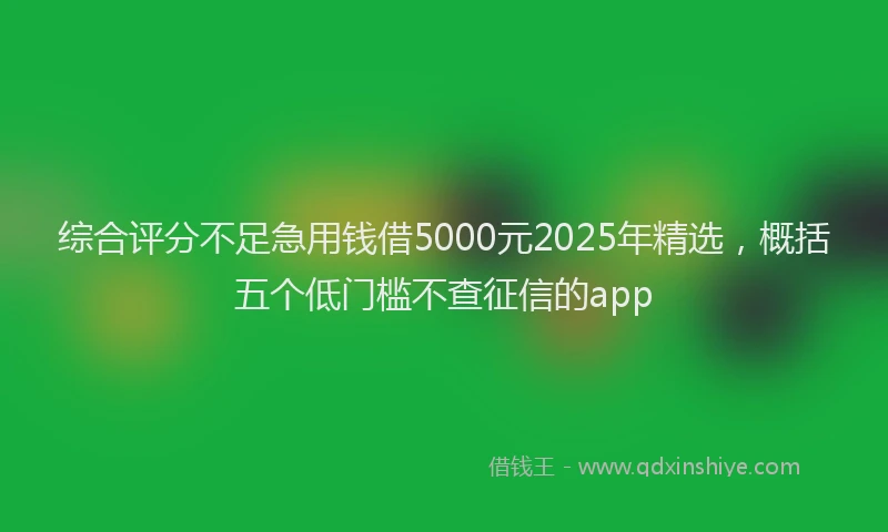 综合评分不足急用钱借5000元2025年精选，概括五个低门槛不查征信的app
