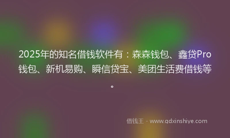 2025年的知名借钱软件有：森森钱包、鑫贷Pro钱包、新机易购、瞬信贷宝、美团生活费借钱等。