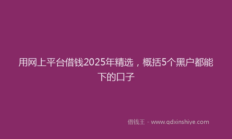 用网上平台借钱2025年精选，概括5个黑户都能下的口子
