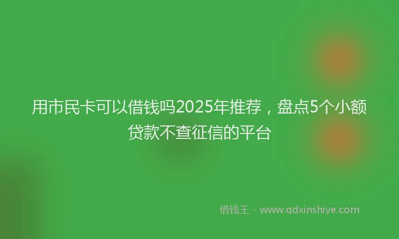 用市民卡可以借钱吗2025年推荐，盘点5个小额贷款不查征信的平台