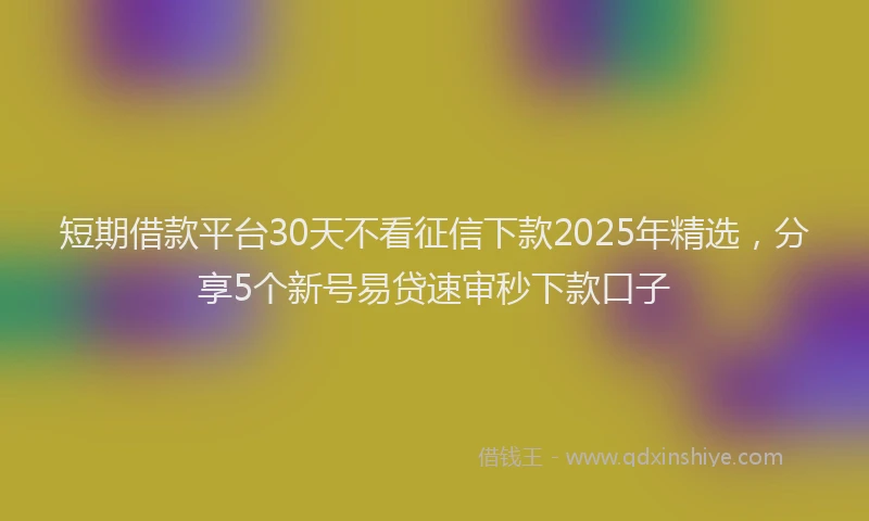 短期借款平台30天不看征信下款2025年精选，分享5个新号易贷速审秒下款口子