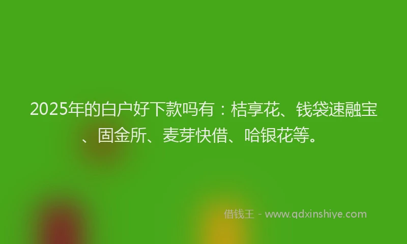 2025年的白户好下款吗有：桔享花、钱袋速融宝、固金所、麦芽快借、哈银花等。