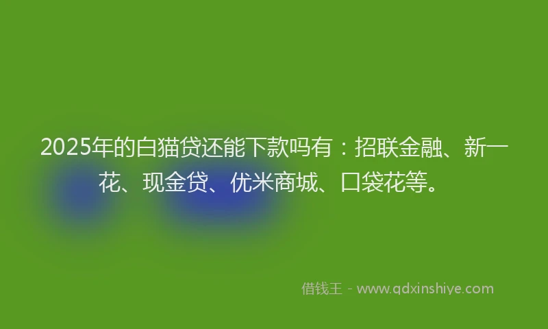 2025年的白猫贷还能下款吗有：招联金融、新一花、现金贷、优米商城、口袋花等。