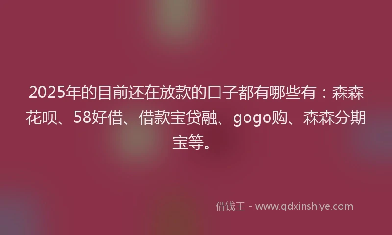 2025年的目前还在放款的口子都有哪些有：森森花呗、58好借、借款宝贷融、gogo购、森森分期宝等。