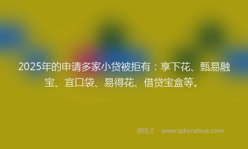 2025年的申请多家小贷被拒有：享下花、甄易融宝、宜口袋、易得花、借贷宝盒等。