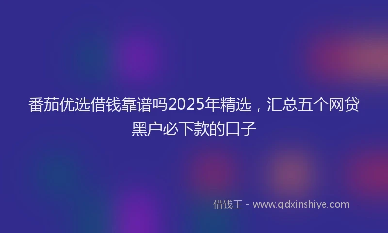 番茄优选借钱靠谱吗2025年精选，汇总五个网贷黑户必下款的口子