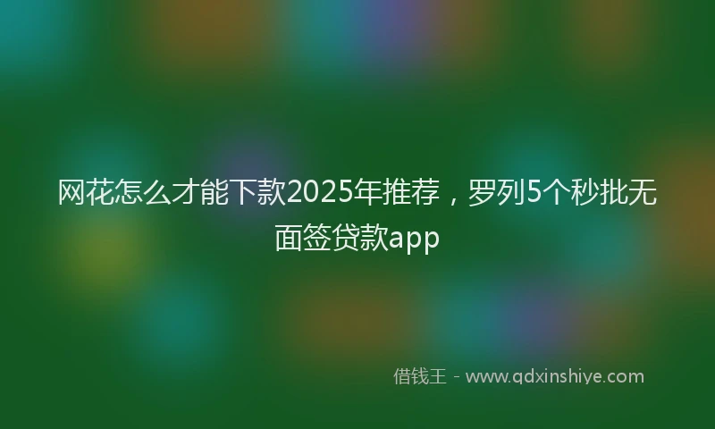 网花怎么才能下款2025年推荐，罗列5个秒批无面签贷款app