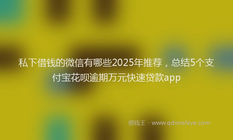 私下借钱的微信有哪些2025年推荐，总结5个支付宝花呗逾期万元快速贷款app