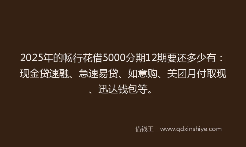 2025年的畅行花借5000分期12期要还多少有：现金贷速融、急速易贷、如意购、美团月付取现、迅达钱包等。